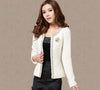 Long Sleeve Jacket